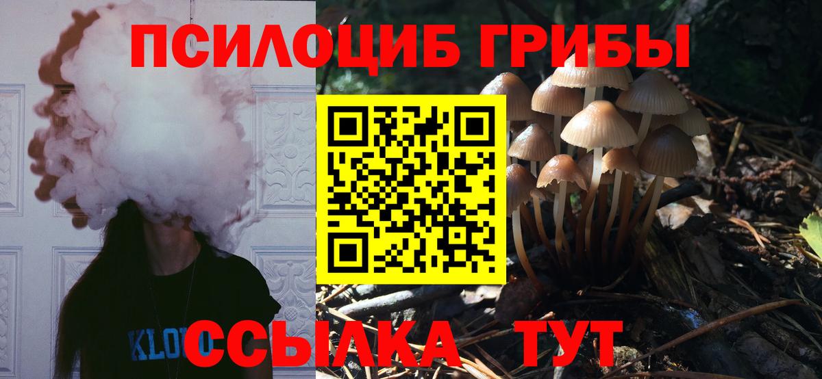 Фролово  наркотики  Вход с VPN  Псилоцибиновые грибы мицелий 
